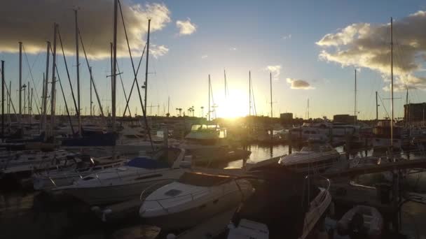 Marina del Rey Cuenca del Yate con barcos atracados — Vídeo de stock