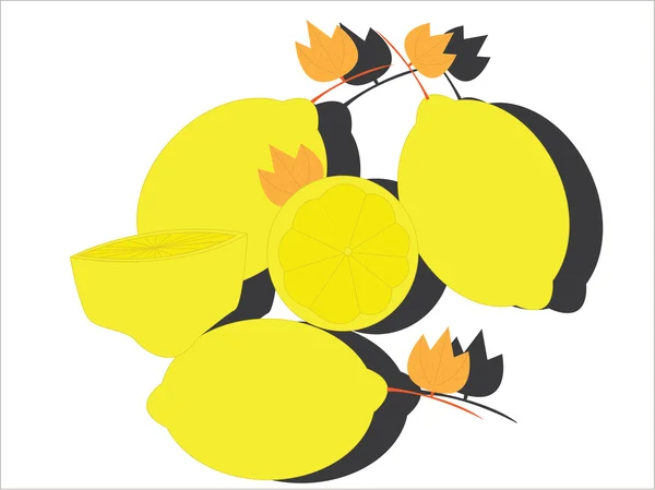 taze limon