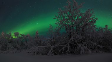 Aurora Borealis.Polar ışıklar
