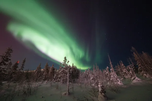 Aurora Borealis.Polar Lumières . — Photo