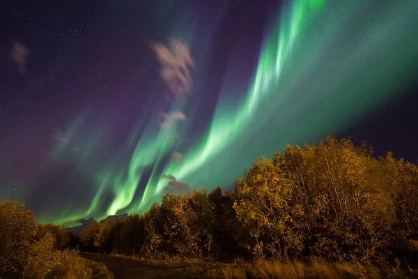 Aurora Borealis.Polar Luces Imagen de stock