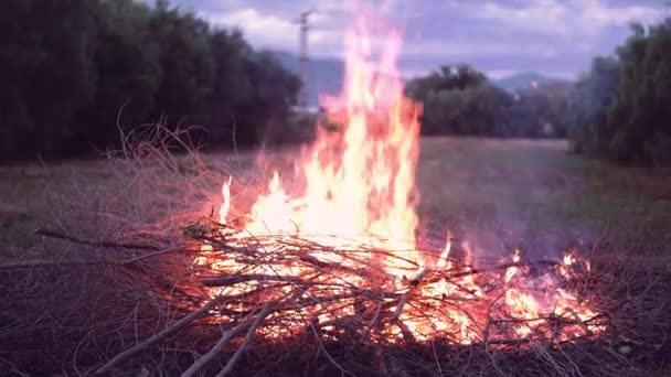 Zpomalený záběr táborák — Stock video