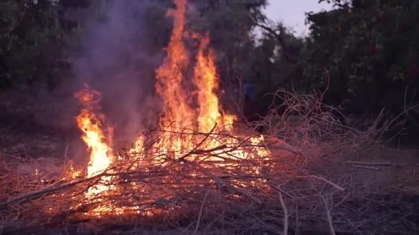 Coup de feu au ralenti — Video