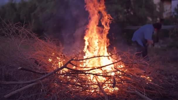 Yavaş çekim yaşlı kadının kuru dalları yanan ateşin ortasına — Stok video