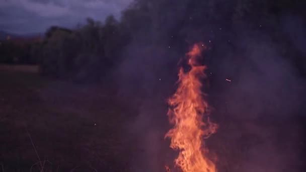 Hidastettu kokko-osuma — kuvapankkivideo