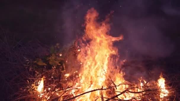 Slow motion shot of bonfire — Stock Video