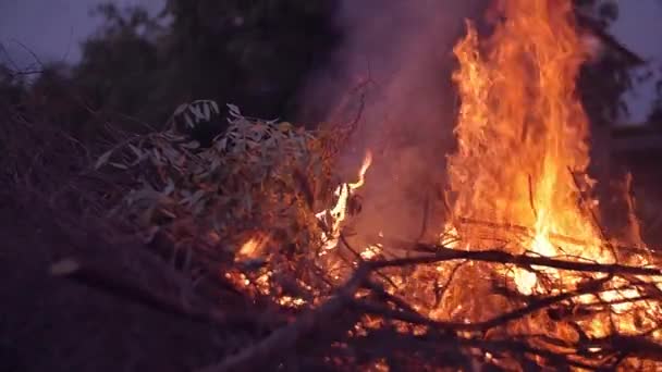 Coup de feu au ralenti — Video