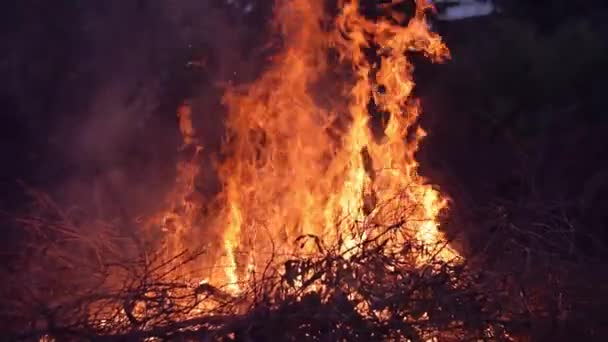たき火のスローモーション撮影 — ストック動画