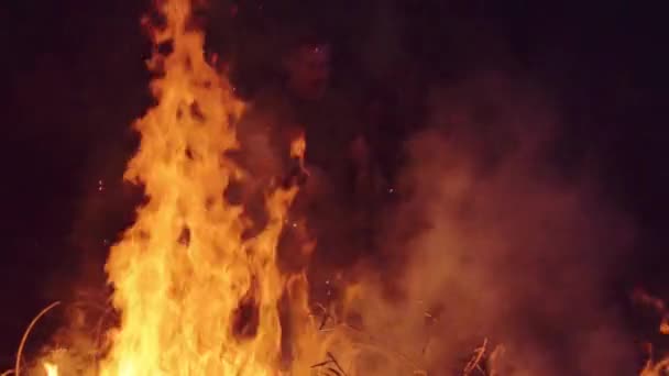 Zeitlupenaufnahme eines Mannes, der trockene Äste am Lagerfeuer verbrennt — Stockvideo