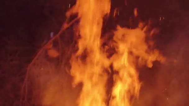 Slow-motion shot van man droge takken branden op het vreugdevuur — Stockvideo