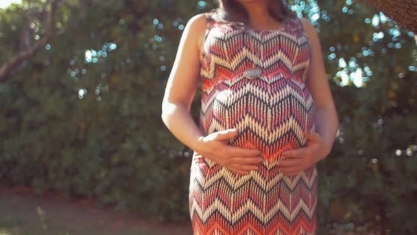 Kobieta w ciąży z przyrodą w ogrodzie. strzał w zwolnionym tempie — Wideo stockowe