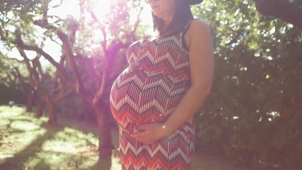 Zwangere vrouw genieten van natuur in de tuin. shot in slow motion — Stockvideo