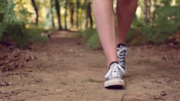 Tiro em câmera lenta de menina andando na floresta — Vídeo de Stock