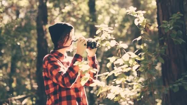 Menina tirando foto na floresta — Vídeo de Stock