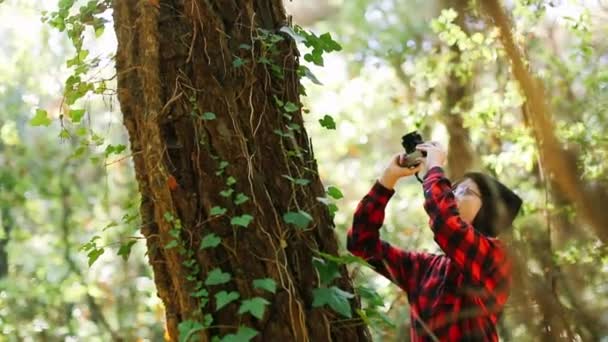Chica tomando fotos en el bosque — Vídeo de stock