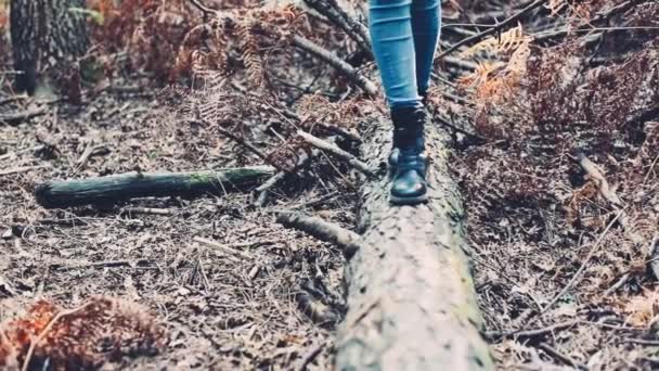 Chica caminando en tronco — Vídeos de Stock