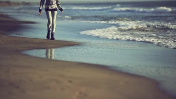 Girl enjoying nature on the beach — Stock Video