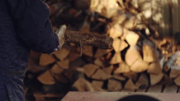 Man chopping firewood with saw — Stock Video