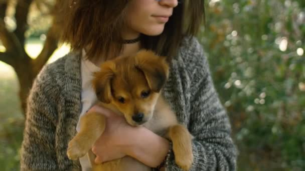 Niña sosteniendo cachorro — Vídeos de Stock