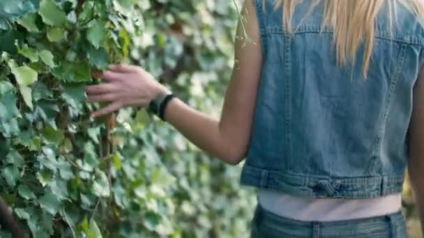 Girl handlag hedge — Stockvideo