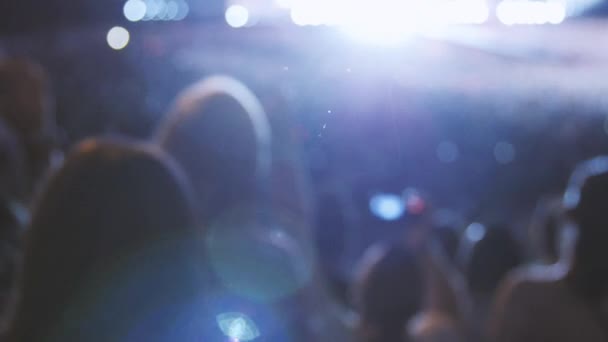 Publikum feiert bei Konzert — Stockvideo