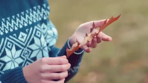 Chica sosteniendo una hoja de otoño — Vídeo de stock