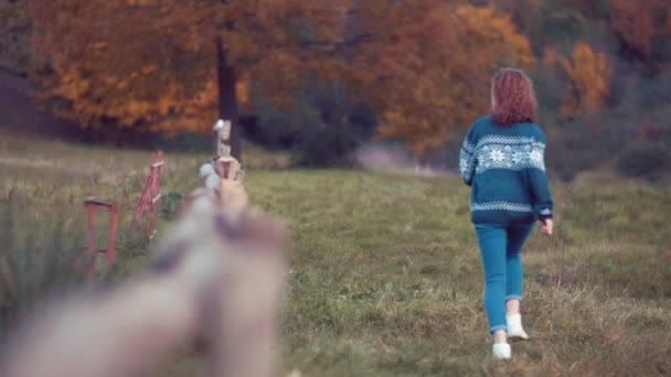 Meisje lopen in de natuur. Schot in slow motion — Stockvideo