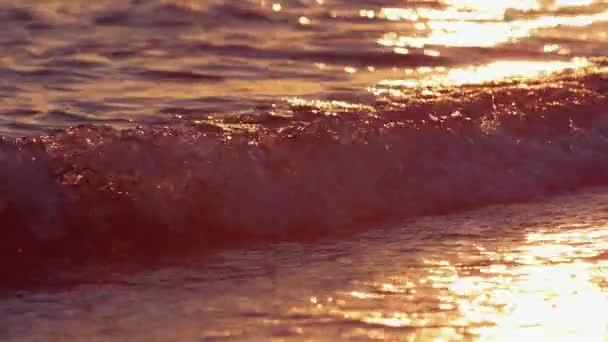 Ondas a chegar à praia ao entardecer. Tiros em câmara lenta — Vídeo de Stock