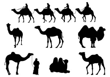 Camel and Caravan Silhouettes Isolated on the White Background clipart