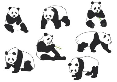 panda siluetleri vektör kümesi