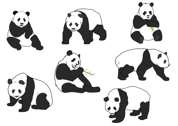 Sada vektorové panda siluety — Stockový vektor