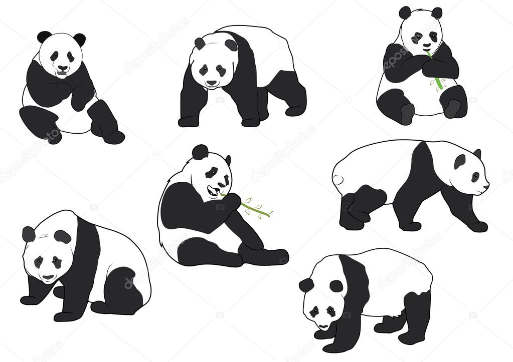 Set of Vector Panda silhouettes