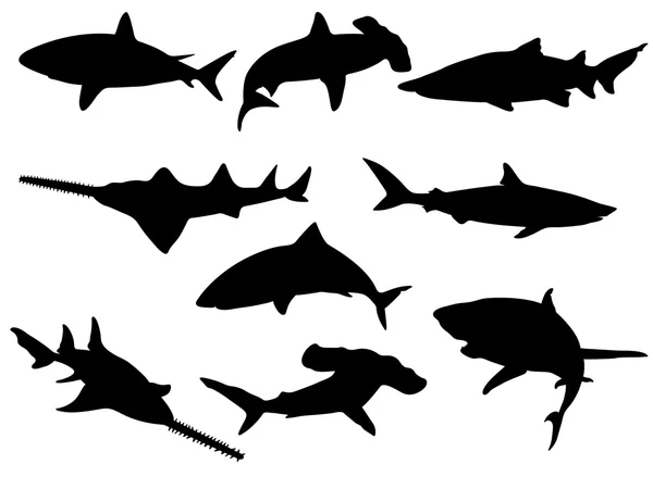 Set of Shark Silhouettes. Vector Images — Stock Vector