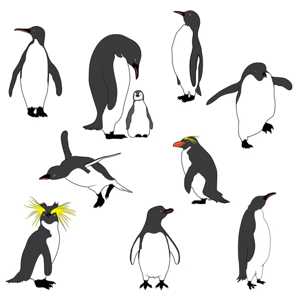 Penguenler Illustration. Vektör görüntü — Stok Vektör