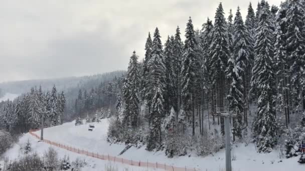 含まれるスポットライトやランニングスキーリフトのスキー場でのスキーやスノーボード スキー場でスラフスケ ウクライナ タイムラプス — ストック動画