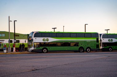 GO Transit otobüslerinin gün batımındaki görüntüsü. Oshawa, Kanada - 26 Ekim 2025.