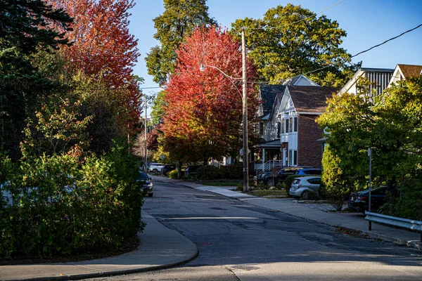 Toronto 'daki The Beaches mahallesinin manzarası.