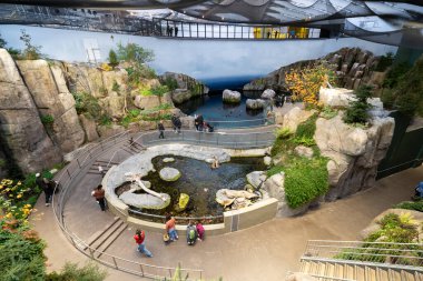 Montreal Biodome 'daki St. Lawrence Körfezi bölümünün görüntüsü. Montreal, Kanada - 30 Ekim 2025.