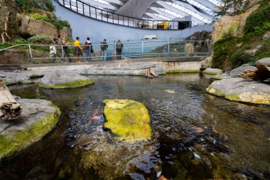 Montreal Biodome 'daki St. Lawrence Körfezi bölümünün görüntüsü. Montreal, Kanada - 30 Ekim 2025.