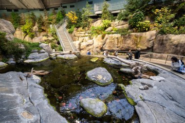 Montreal Biodome 'daki St. Lawrence Körfezi bölümünün görüntüsü. Montreal, Kanada - 30 Ekim 2025.
