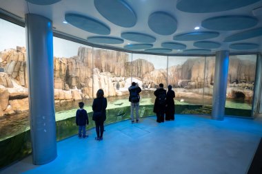Montreal Biodome 'daki kutup altı bölgelerin görüntüsü. Montreal, Kanada - 30 Ekim 2025.