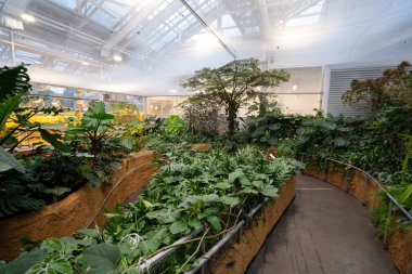 Böcek Yurdu 'ndaki kelebek bahçesinin manzarası.