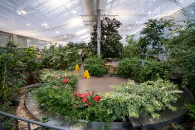 Böcek Yurdu 'ndaki kelebek bahçesinin manzarası.