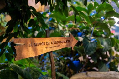Jardin Botanique 'deki bir seranın içindeki bitkilerin görüntüsü. Montreal, Kanada - 30 Ekim 2025.