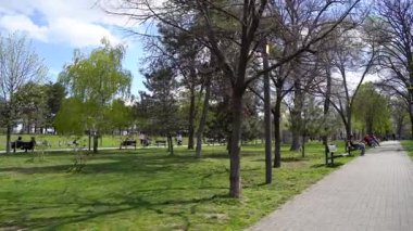 Sırbistan 'ın Belgrad kentindeki Tasmajdan Park manzarası