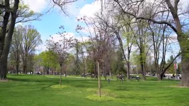 Sırbistan 'ın Belgrad kentindeki Tasmajdan Park manzarası