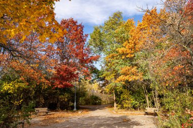 Toronto 'daki Albay Samuel Smith Park' ın Sonbahar Manzarası.