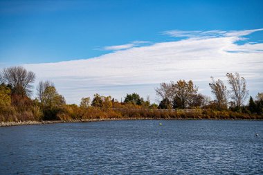 Toronto 'daki Albay Samuel Smith Park' ın Sonbahar Manzarası.