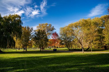 Toronto 'daki Marie Curtis Park Manzarası.