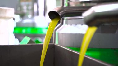 Fabrikada taze zeytinyağı işleme makineleri